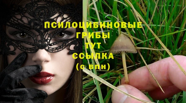 а пвп мука Абаза