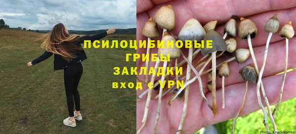 а пвп мука Абаза