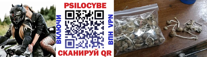 цена наркотик  Скопин  Псилоцибиновые грибы Psilocybe 